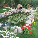 Mariposa Bed & Breakfast 4*