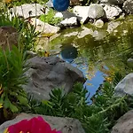 Mariposa