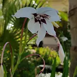 Mariposa Bed & Breakfast San Vito Lo Capo