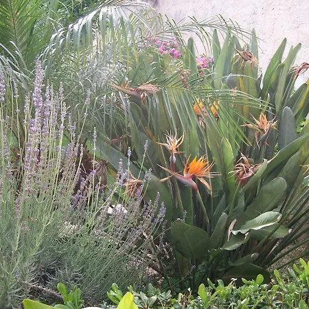 Mariposa Bed & Breakfast
