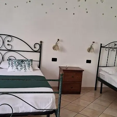 Mariposa San Vito Lo Capo