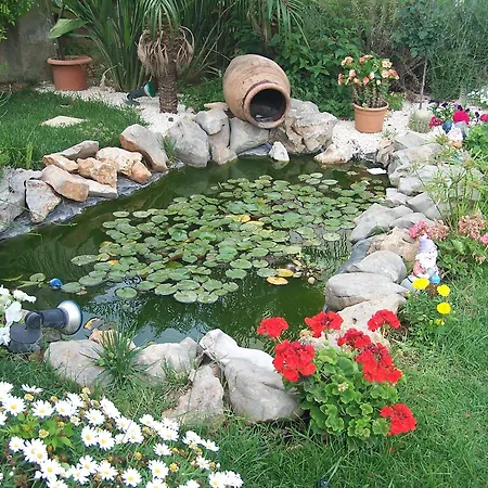 Mariposa Bed & Breakfast 4*