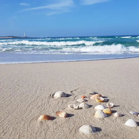 Mariposa 3* סן ויטו לו קאפו