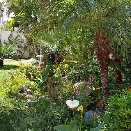 Mariposa 3* סן ויטו לו קאפו