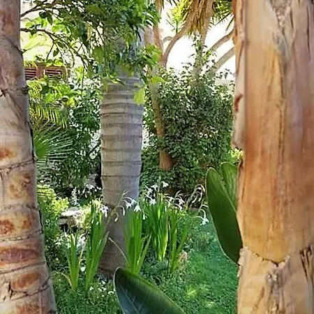 Bed & Breakfast Mariposa 4*