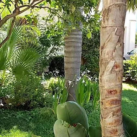 Mariposa 4* San Vito Lo Capo