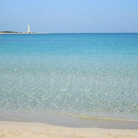 לינה וארוחת בוקר Mariposa