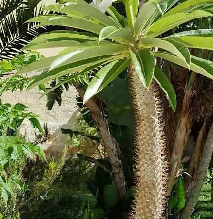 Mariposa לינה וארוחת בוקר