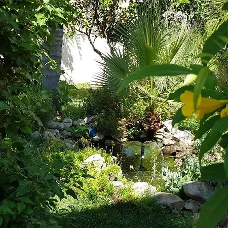 Mariposa San Vito Lo Capo